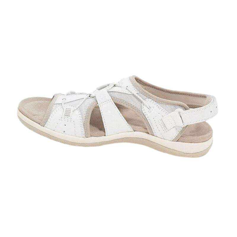White / 12