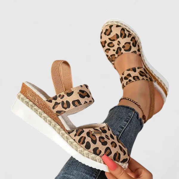 Leopard / 11 US | 42 EU