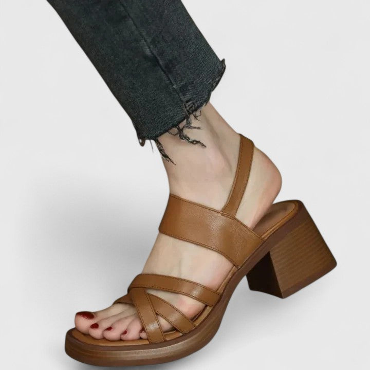 Brown / 10 US | 41 EU