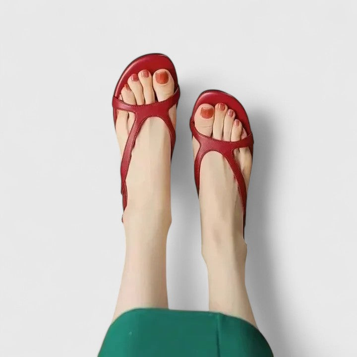 Burgundy / 8 US | 39 EU