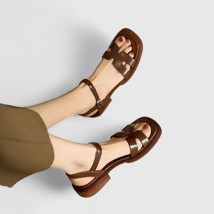 Brown / 11