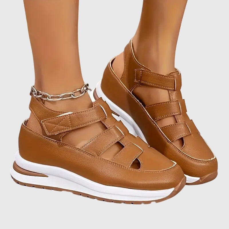 Brown / 12