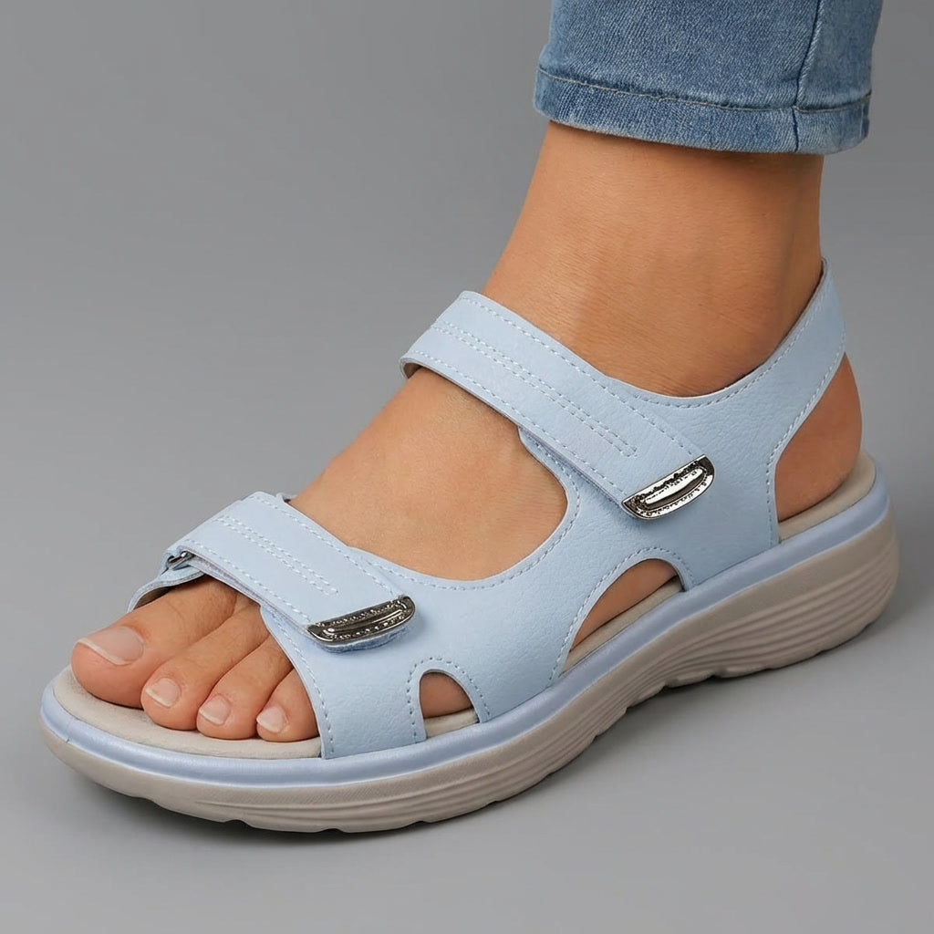 Light Blue / 12